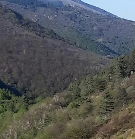 Chez Daniel 
