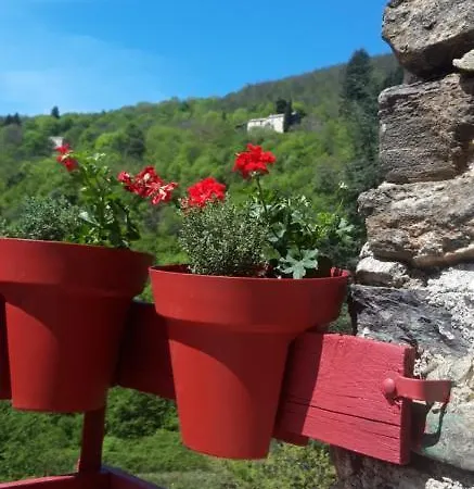 Chez Daniel Cevennes 2 Mars (Gard)